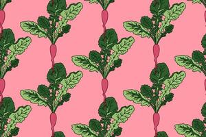 Botanical abstract seamless pattern with juicy beets illustration. Colorful repeating cartoon vegetables pattern in pink color background. Graphic design for Fashion Cover Textile Birthday Card vector