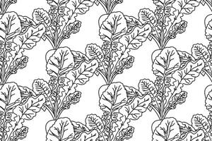 Line art seamless pattern with beets plants illustration. Hand drawn outline repeating vegetables pattern background. Graphic design for Cover Coloring Book Textile Fashion Card Birthday Print vector
