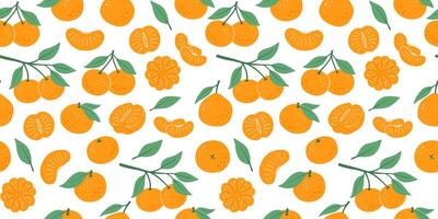 Seamless pattern with hand drawn mandarin with leaves, tangerine fruits. isolated illustrations of flat citrus. vector