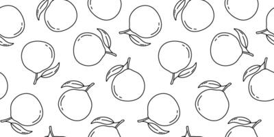 Seamless pattern with hand drawn sketch of tangerine or orange fruit. isolated illustration. vector