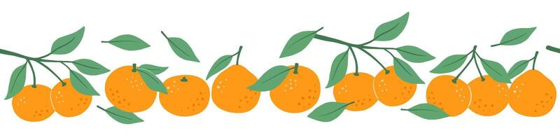 Seamless border with tangerine and leaves isolated on white background vector