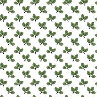 Simple, elegant leaf pattern. Perfect for textile design, packaging, or website backgrounds. Repeatable motif evokes freshness, nature, and growth. Clean lines create a versatile, modern aesthetic. vector