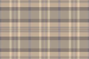 Elegant neutral plaid pattern, perfect for textile design, fashion, or web backgrounds. Subtle color palette evokes calmness and sophistication. vector