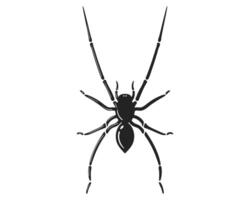 Striking spider illustration in black, isolated on white. Great for Halloween, nature themes, or as a design element. style. Minimalist, adaptable. vector