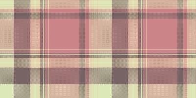 Soft pastel plaid pattern. Perfect for textile design, fashion, websites, and branding. This subtle, elegant texture evokes feelings of warmth and comfort. vector