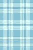 Serene pastel blue and white plaid pattern. Perfect for textile design, website backgrounds, or crafting projects. Evokes feelings of calm and tranquility. vector
