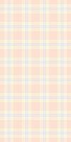 Girl check pattern , lined texture plaid fabric. Argyle seamless textile background tartan in light and papaya whip colors. vector