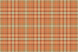 Warm autumnal plaid pattern. Perfect for textile design, fallthemed projects, or rustic backgrounds. Subtle color palette evokes feelings of comfort warmth. vector