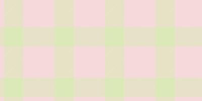 Fuzzy tartan texture bakground, brazil textile seamless . Deep pattern fabric plaid check in light color. vector