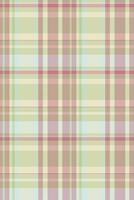 Hounds tooth tartan fabric , amazing background plaid check. Latin pattern textile seamless texture in light and pastel colors. vector