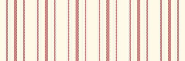 Morizon texture vertical , femininity textile background stripe. Palloween pattern seamless lines fabric in old lace and white colors. vector