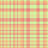 Bright and cheerful plaid pattern in soft hues. Versatile textile design for backgrounds, web templates, and creative projects. Retro, fashion inspired. vector