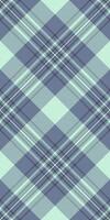 Filigree tartan plaid pattern, contour texture check seamless. Cute background fabric textile in slate gray and light colors. vector