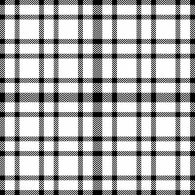 Stylish black and white plaid pattern. Perfect for textile design, website backgrounds, or fashion illustrations. Clean lines and a classic check create a versatile, timeless aesthetic.