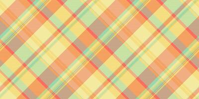 Pastel plaid design, a seamless and stylish pattern perfect for backgrounds, textiles, or creative projects. Offers a colorful, versatile, and calming aesthetic. vector