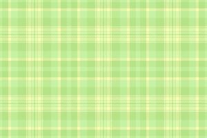 Gentle green plaid pattern. Seamless texture for fabric design, backgrounds, or springtime themes. Calming, fresh, and versatile for various design applications. vector