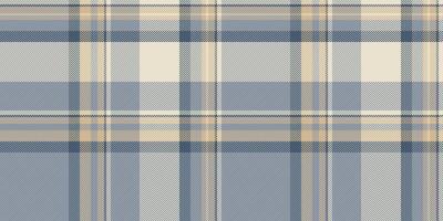 Subtle blue and beige plaid pattern. Perfect for textile design, website backgrounds, or crafting projects. Evokes feelings of warmth, comfort, and understated elegance. vector