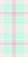 Cultural tartan seamless, site texture pattern textile. Customizable plaid background check fabric in light and white colors. vector