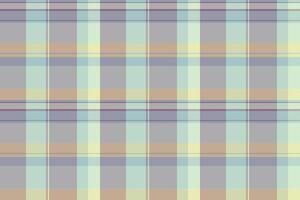 Festive pattern background texture, daisy tartan fabric check. Scenery textile seamless plaid in pastel and light colors. vector