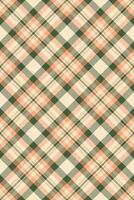Elegant peach and green plaid pattern. Perfect for textile design, apparel, or website backgrounds. This seamless texture offers a sophisticated, rustic feel, ideal for fall or spring themes. vector