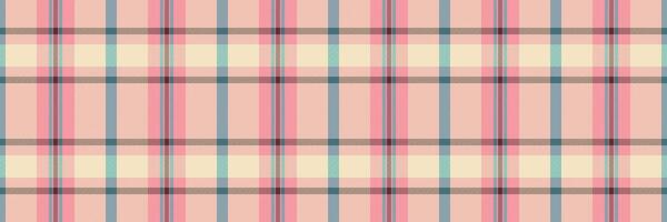 Soft pastel plaid pattern. Perfect for textile design, websites, or crafting projects. This delicate, repeating texture evokes feelings of warmth and comfort. vector
