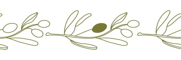 Olive border, rustic seamless pattern. vintage band. Hand drawn texture branch, green fruit, graphic leaves on white background. vector