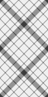 Elegant grayscale plaid pattern. Perfect for textile design, website backgrounds, or wrapping paper. The intersecting lines create a sophisticated, timeless aesthetic. vector