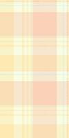 Perfection texture seamless background, nyc tartan pattern . Decor plaid check fabric textile in light and moccasin colors. vector