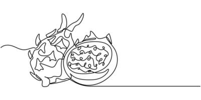 Continuous One Line Drawing Dragon fruit White and dark background. vector