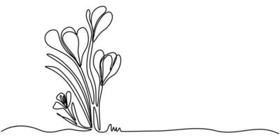 Spring crocus flower in continuous one line art drawing vector