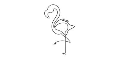 Flamingo continuous one line drawing of bird, flamingo simple contour drawing for modern vector