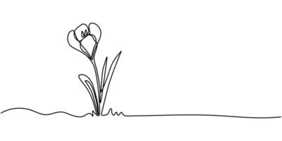 Spring crocus flower in continuous one line art drawing style, Minimalist black linear sketch isolated on white background illustration vector