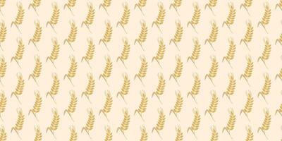 Spikelets of wheat background graphics vector