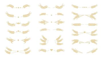 Set of dividers from ears of cereal crops vector