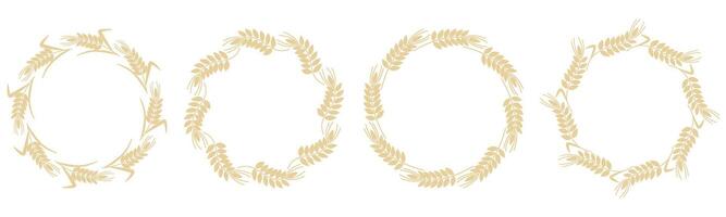 Set of round spikelet wreaths of cereal crops vector