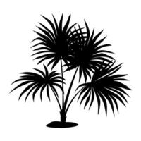 Black silhouette of a palm tree on a white background. illustration vector