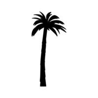 Palm tree icon . Tree illustration sign. Island symbol. vector