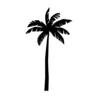 Palm tree icon . Tree illustration sign. Island symbol. Rest logo. vector