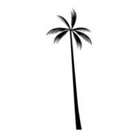 Tropical palm tree icon. illustration silhouette design vector