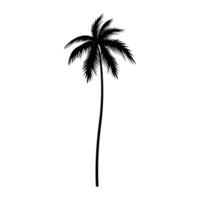 silhouette of palm tree icon over white background, illustration sign or symbol. vector