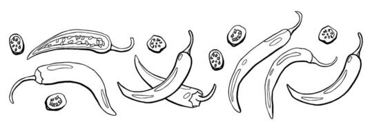 Hand Drawn Chili Pepper Set Illustration vector