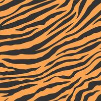 wild tiger stripe pattern background flat illustration vector