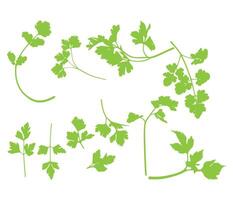 simple flat celery leaf icon illustration vector