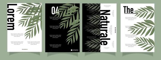 Three vertical banners with palm leaves vector