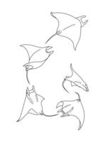 Simple outline of stingray fish on a white background vector