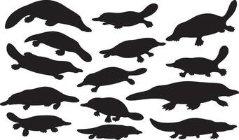 Silhouettes of various animals, including a turtle, on a white background vector