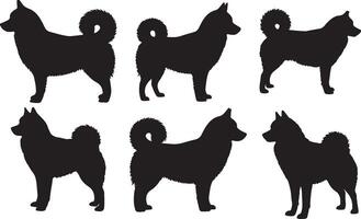 Alaskan Klee Kai Silhouettes vector