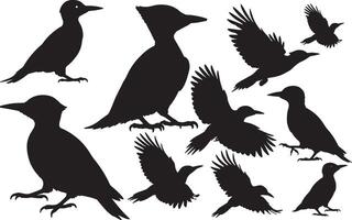 Acorn Woodpecker Silhouette vector