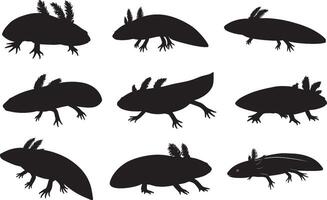Silhouettes of various types of Alaskan Klee Kai Silhouettes vector