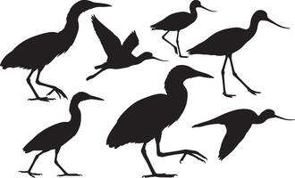 Silhouette of an American Avocet vector